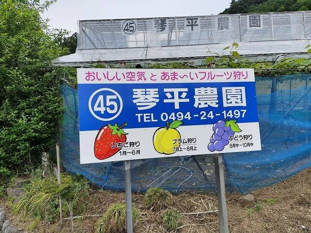 あしがくぼ山の花道駐車場から日向山(埼玉)へプチ登山_24