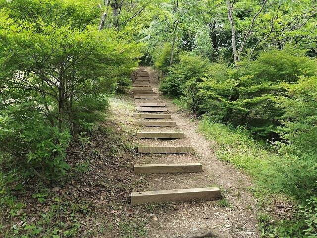 あしがくぼ山の花道駐車場から日向山(埼玉)へプチ登山_8