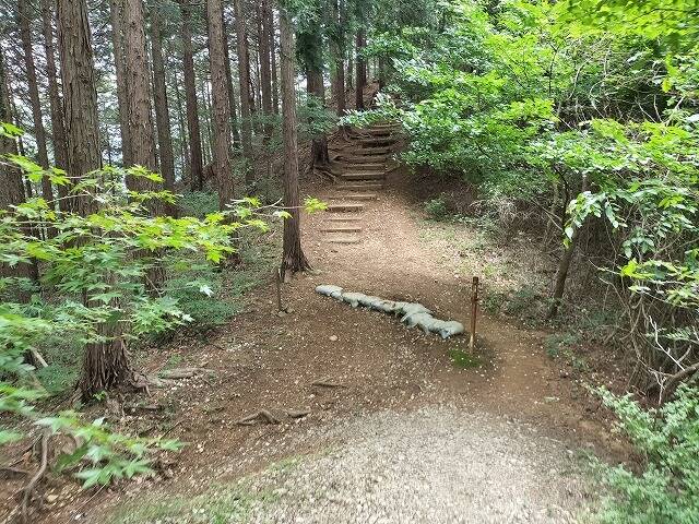 あしがくぼ山の花道駐車場から日向山(埼玉)へプチ登山_9