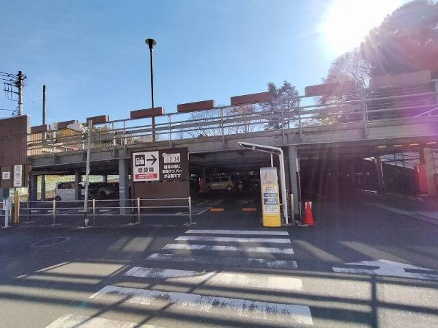 生田緑地に行ってきた_2