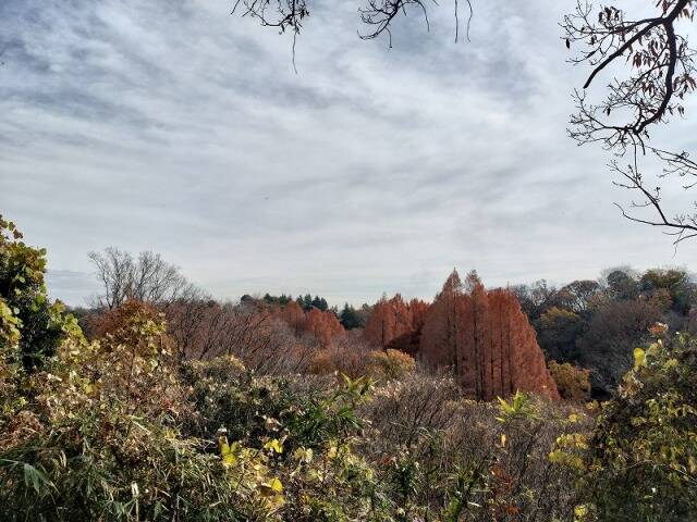 生田緑地に行ってきた_27