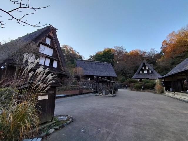 生田緑地に行ってきた_33