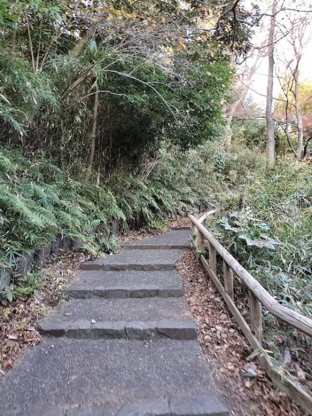 生田緑地に行ってきた_34