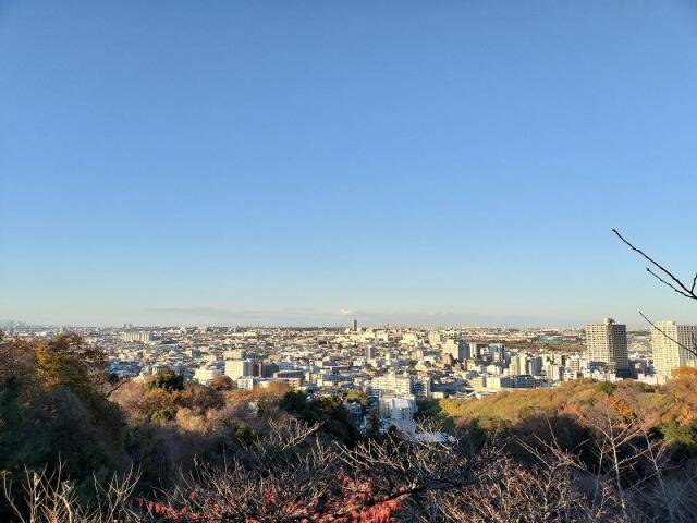 生田緑地に行ってきた_36