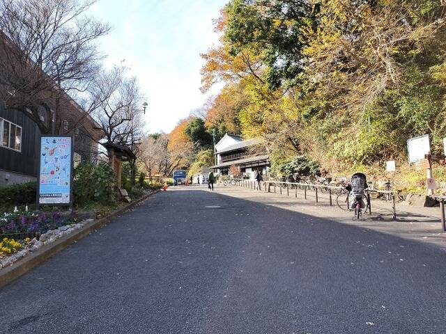 生田緑地に行ってきた_4