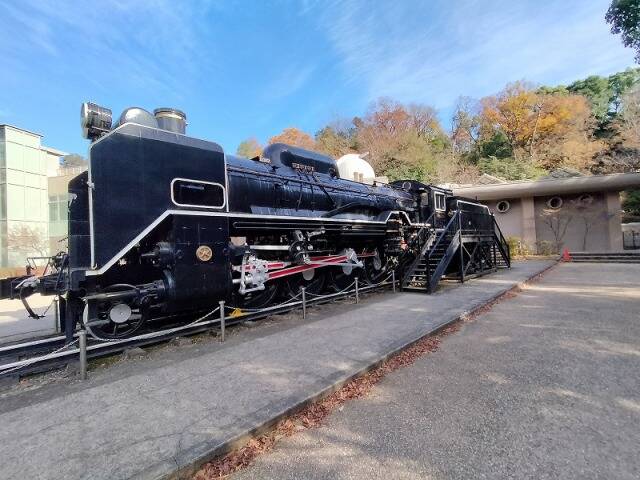 生田緑地に行ってきた_7