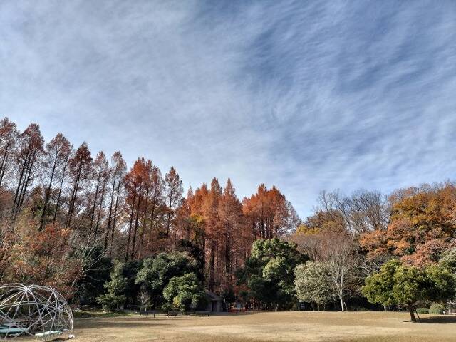 生田緑地に行ってきた_8